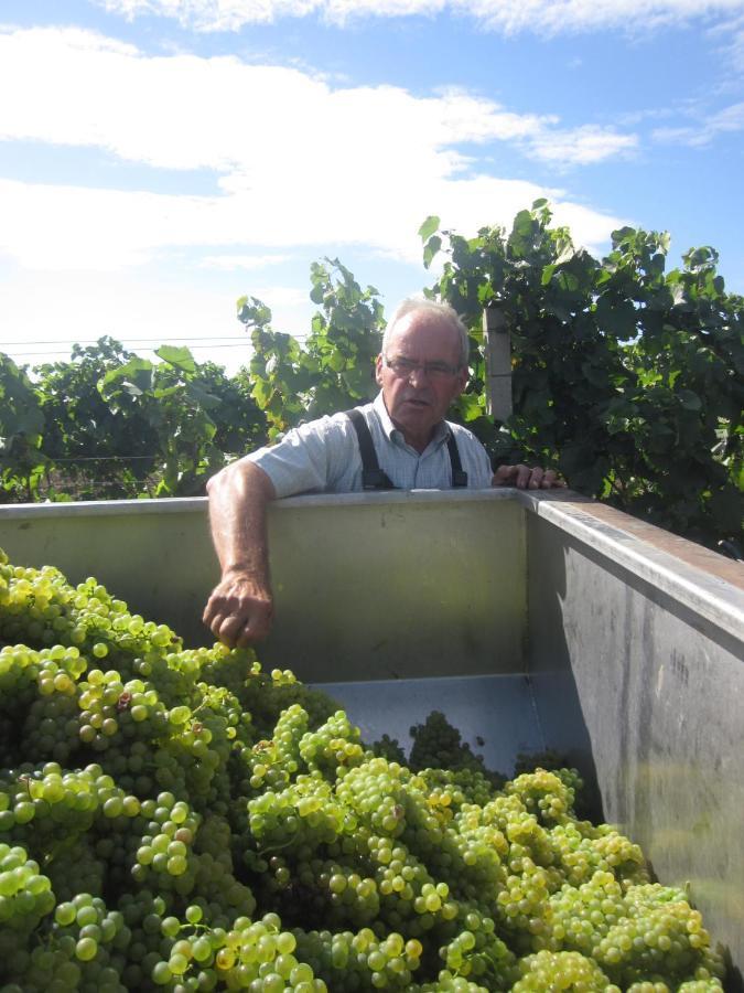 일미츠 Winzerhof Michael Gartner B&B 외부 사진